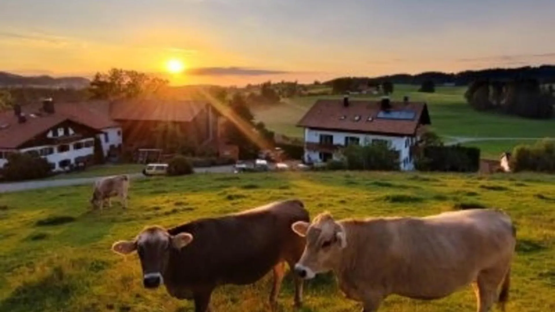 Ferienhof Hefele Ferienwohnung Breitenberg Mit Koenigscard Hopferau 0*,  Germany